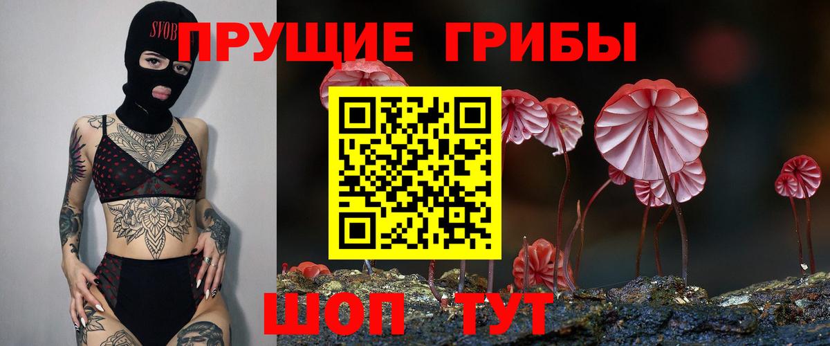 Галлюциногенные грибы Psilocybe  Галлюциногенные грибы прущие грибы  Вход с VPN  Калуга 